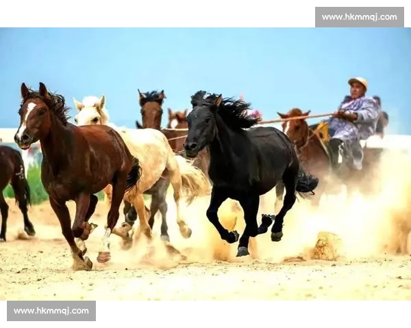 锡林郭勒蒙古马超级联赛总决赛燃情开赛 万马奔腾演绎草原速度与激情